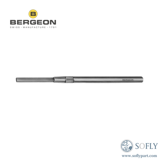 Bergeon 2933 Burnisher