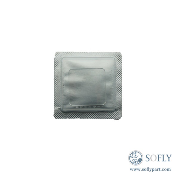 Cartier Santos Dumont W2020033 Crystal