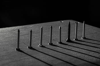 Eight different types of screws arranged neatly