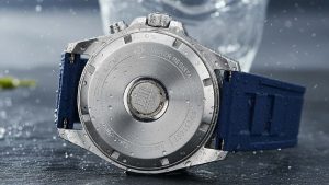 Watch Case Back